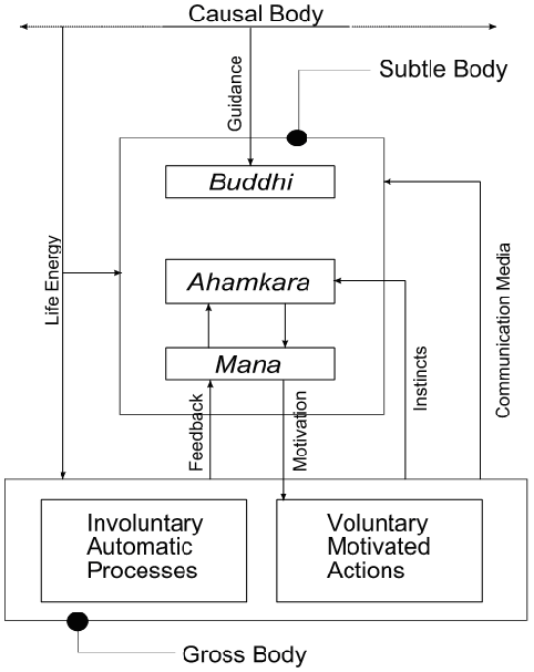 Samkhya model of typical animal behavior