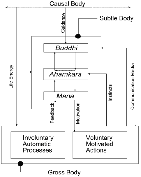 Samkhya Model of how a a typical human being behaves in the world